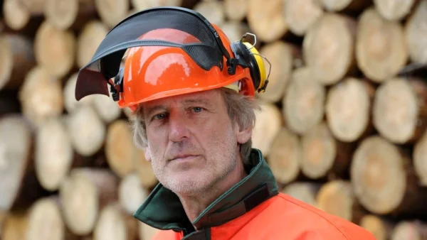 Mann mit orangem Forstschutzhelm, Visier und Gehörschutz vor Holzstapel