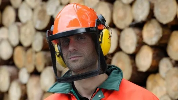 Person mit orangefarbenem Forstschutzhelm und Gehörschutz vor einem Holzstapel